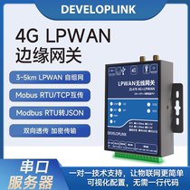 Концентратор RS485 Super LoRa 4G Edge Gateway беспроводной RTU сетевой модуль связи «точка-множество» ZL470