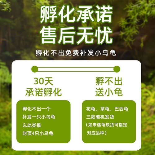 Игрушка для мальчиков и девочек, детский комплект для школьников для экспериментов ручной работы, наука, DIY