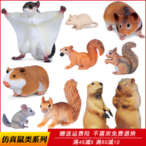 Simulated wild animal model mouse toy Groundhog squirrel guinea pig flying squirrel child science education cognitive gift