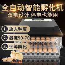 Household chicken device small type chemical device quail hatching chicken call home full automatic machine egg incubator machine