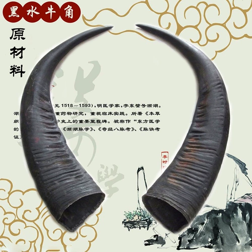 Yunnan Natural Bull Horn Horn Blackwater Blackwater Bull Horn Medicine Medicine Wine Fail