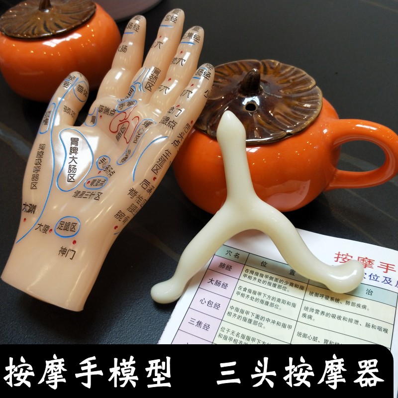 超清晰软质刻字版手部按摩反射区穴位模型手模左手掌背送手图新款