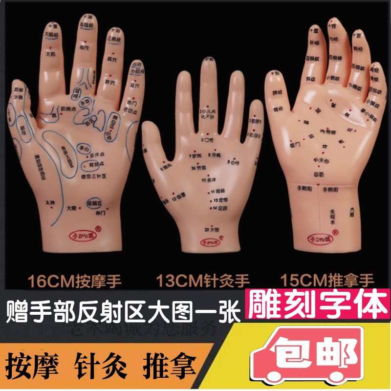 按摩针炙手部穴位模型小儿推拿模型手模型针灸手模型按摩手模型