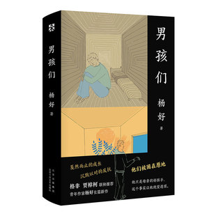新经典 男孩们 成长困境 关注男孩们 青年作家杨好长篇小说