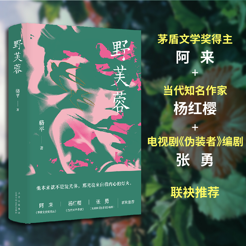 【杨童舒推荐】野芙蓉 骆平 正版包邮（阿来、杨红樱、张勇诚挚推荐，捕捉当代女性的情感困境）新经典