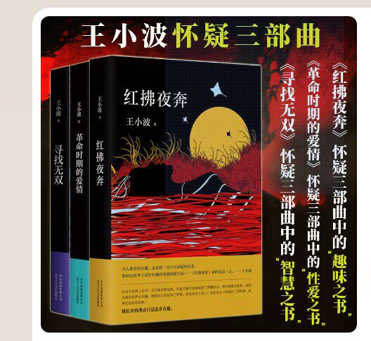 新经典王小波3册套装图书