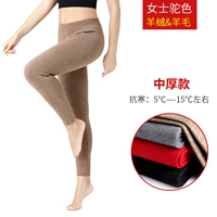 Женский верблюд толстый