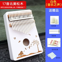 17 Голос голоса Matsuki White Music+Gift Package