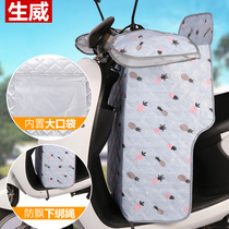 Electric car wind shield by summer split sunscreen sunshade small battery motorcycle windproof and waterproof for spring and autumn