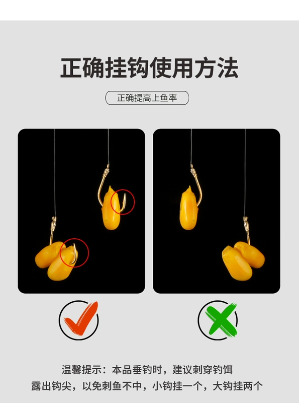 Ngô tươi mềm câu cá trái cây tươi đặc biệt hạt ngô ngọt câu cá hoang dã cỏ cá chép Hồ Dawu thư viện mồi cá mồi câu cá trê bằng gan mồi câu cá rô phi nhạy nhất