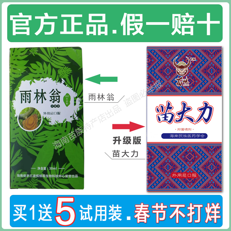 Hainan Rainforest Weng Upgraded Edition (free trial is not satisfied with the withdrawal at any time) chicken blood vine liquid seedlings vigorously soothe