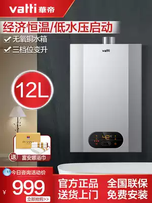 Vantage i12050-12 liters small low-pressure intelligent constant temperature water heater Gas natural rural bath machine Household