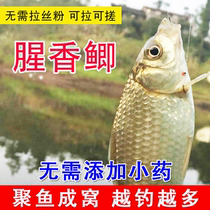 Winter Cabbage Boy Fishing Ferry Fishing Copper Common Fishing Homemade Fish Food Formula Fragile Bait