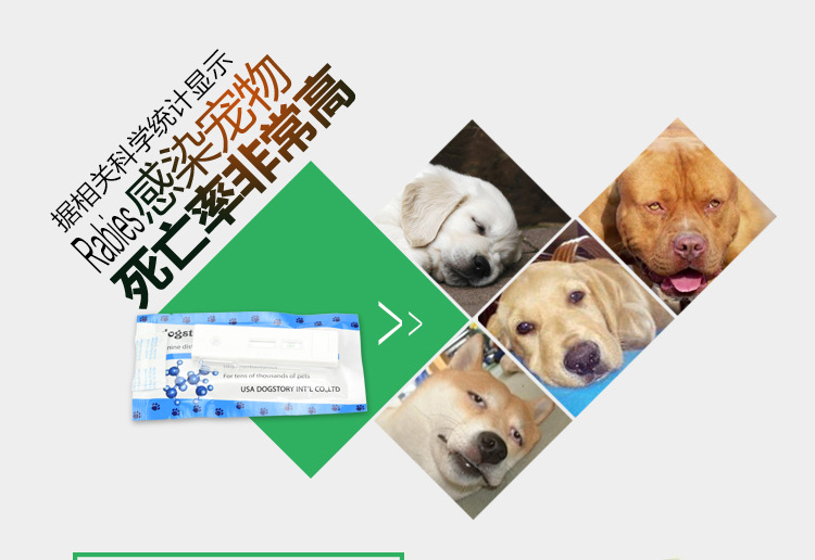 Chó và mèo bệnh dại kiểm tra virus thẻ vật nuôi bệnh dại kiểm tra virus dải người và động vật gia đình comorid cung cấp vật nuôi mới - Cat / Dog Medical Supplies Xi lanh tiêm thú y