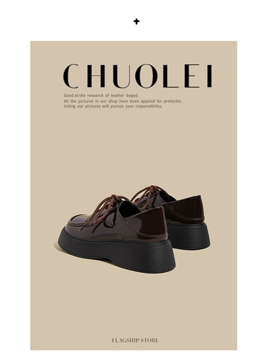 Универсальная зимняя утепленная коричневая глянцевая обувь на платформе для кожаной обуви, японские лоферы в английском стиле, в британском стиле