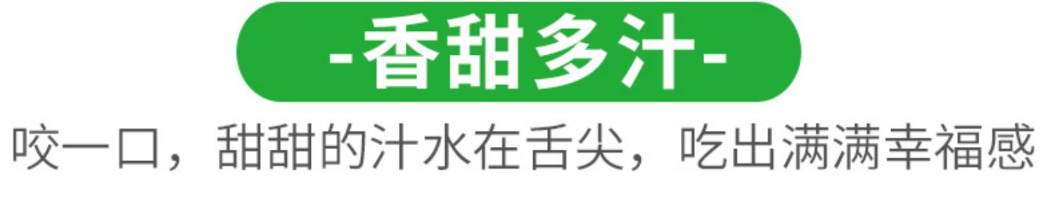 新鲜应季火晶柿子净*5斤当天发货