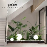 谷灵 Ишэн имитирует зеленые растения, озеленение, внутренний пейзаж, большие декоративные искусственные растения, угловая сцена, макет под лестницей