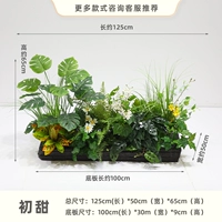 Чу Тянь [Рейтинг зеленого растения]