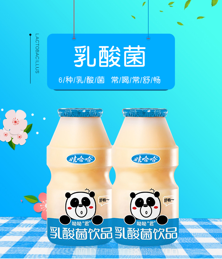 娃哈哈呦呦君乳酸菌100ml*40瓶