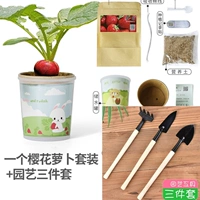 Цвет лотоса