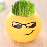 Прохладный горшок 1