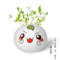 Cloud Grass-1 коробка заправочных растений в горшках