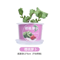 Маленькая красная растительная-виточная редька