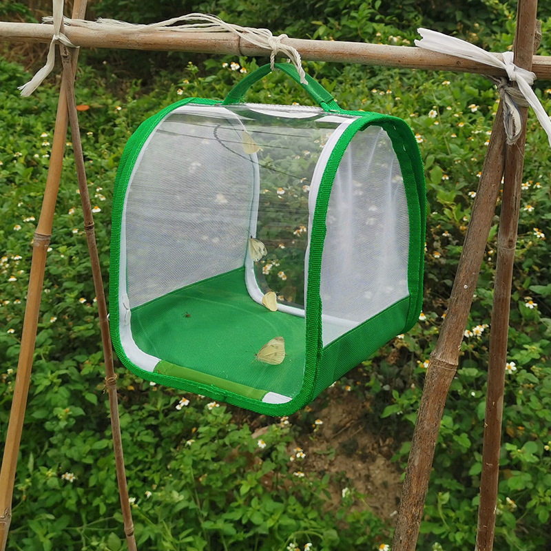 New Self-Developed LAOSHU 360-Degree Fully Transparent Insect ...