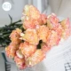 Флуоресцентные желтые карнавальные карака 18