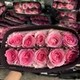 Luoshen Rose (10 в твердом переплете) AB Уровень