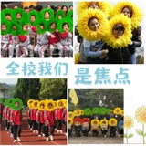 Голова подсолнечника, открытое лицо, солнечный цветочный набор