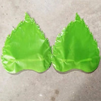 Обычные листья зеленого дерева