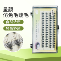 Star Yans new imitation rabbit hair soft 20 roots grafted with fur slim natural dense eyelash C roll XEB-009