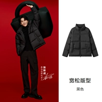 Черный 90001 (серая утка вниз) -tone выбор