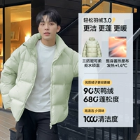 Привлекательная желтая и зеленая мелодия 00333