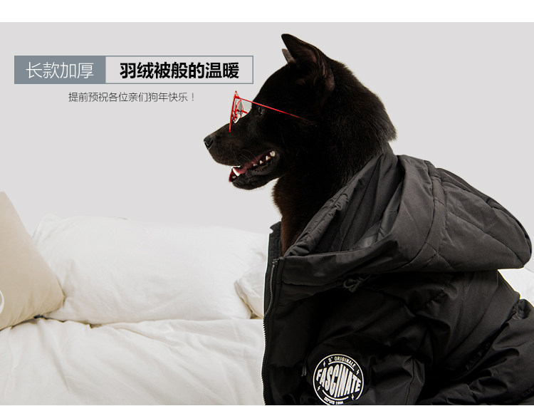 Blouson homme SEMIR   en Polyester - Ref 3122557 Image 10