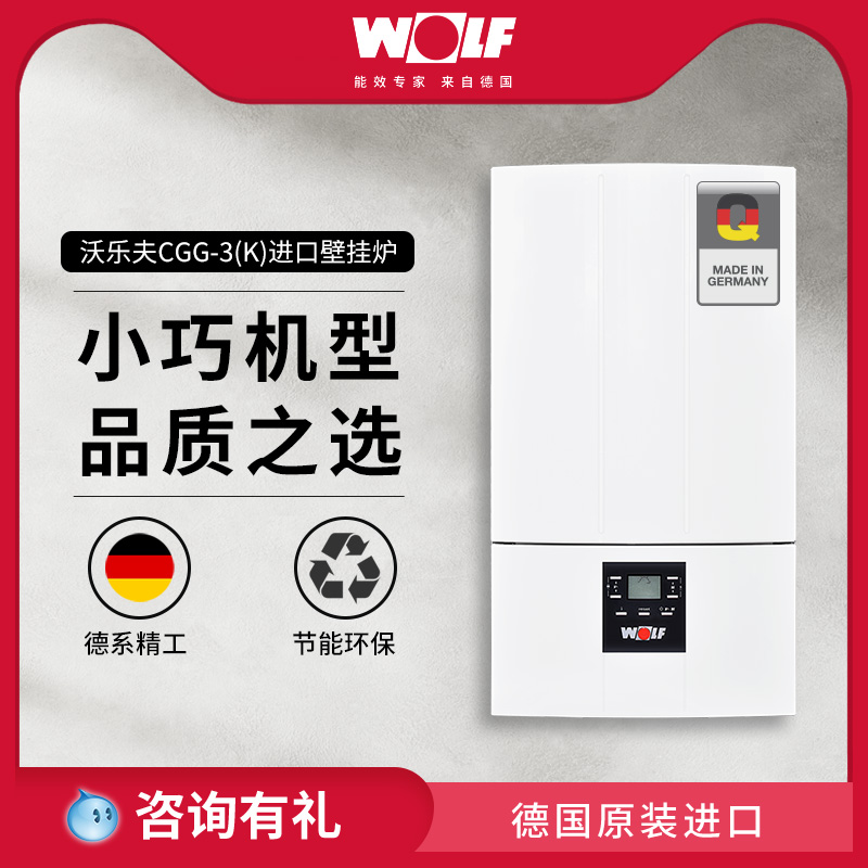 WOLF Wollf CGG-3 (K) imported gas gas wall hanging stove to warm household full set of equipment