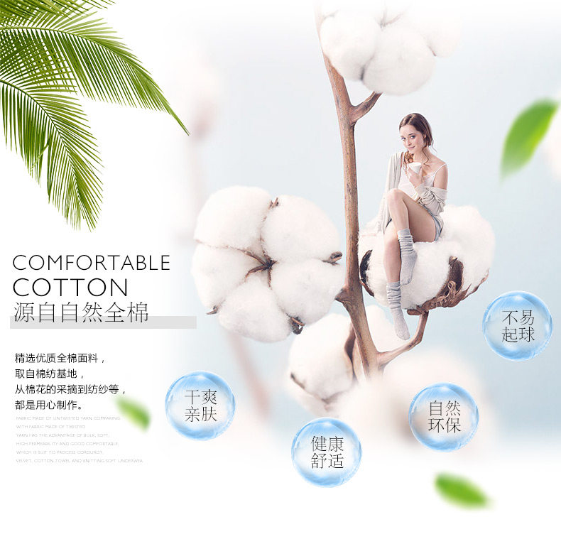 Симпатичный питомец Big Face Cat_01.jpg