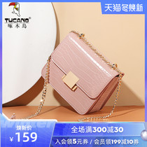 Woodpecker bag womens bag New 2021 shoulder bag ins foreign style chain bag female niche summer hundred small square bag