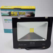 Grass Grasshopper LED Floodlight 200w Waterproof Outdoor Light Outdoor Lighting Patio Floodlight Advertising Light 100W Spotlight