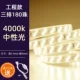 4000K Три ряда из 180 бисера с медным ядром Ultra -Bright Super Bright Import Corous