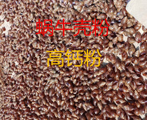White Jade Snail Wild Snail Shell Powder High Calcium Powder Shell Powder Calcium Tablet Bone Powder Calcium Powder Nutrient Powder Mend Repair Shell Raw