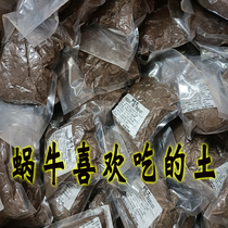 Snail Calcium Soil Calcium Sand Reptiles Reptiles White Jade Snails Breeding Earth Nourishment Native broccoli Broccoli Hatchery