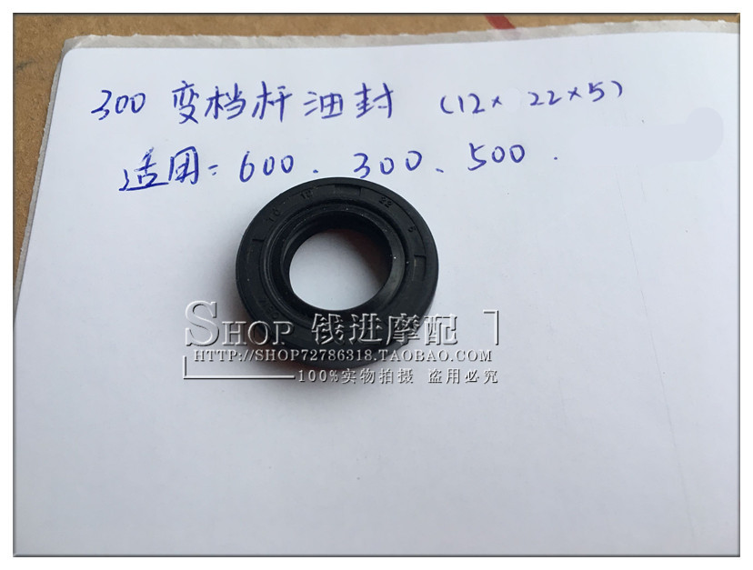 Qianjiang Original Huanglong BJ600GS Blue Baolong Small Huanglong 300 Jin Peng 500 Variable Shift Rod Oil Seal