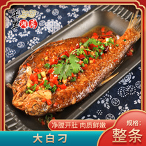 The whole big white carp fish frozen and marinated the whole hotel semi-finished products special private dishes commercial