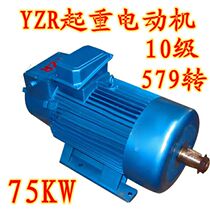 YZR315M-10 75KW metallurgical and lifting winding rotor three-phase asynchronous motor AC motor 380