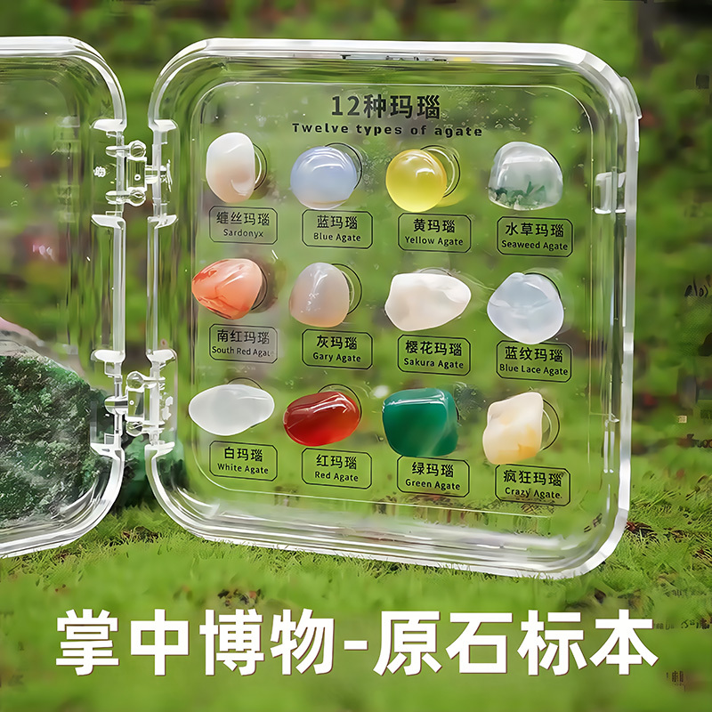 Exploring Nature: 12 Types of Natural Crystal Minerals, Children's Mineral Specimens, Portable Pocket Gemstones, Science Education Exploring Nature: 12 Types of Natural Crystal Minerals, Children's Mineral Specimens, Portable Pocket Gemstones, Science Education