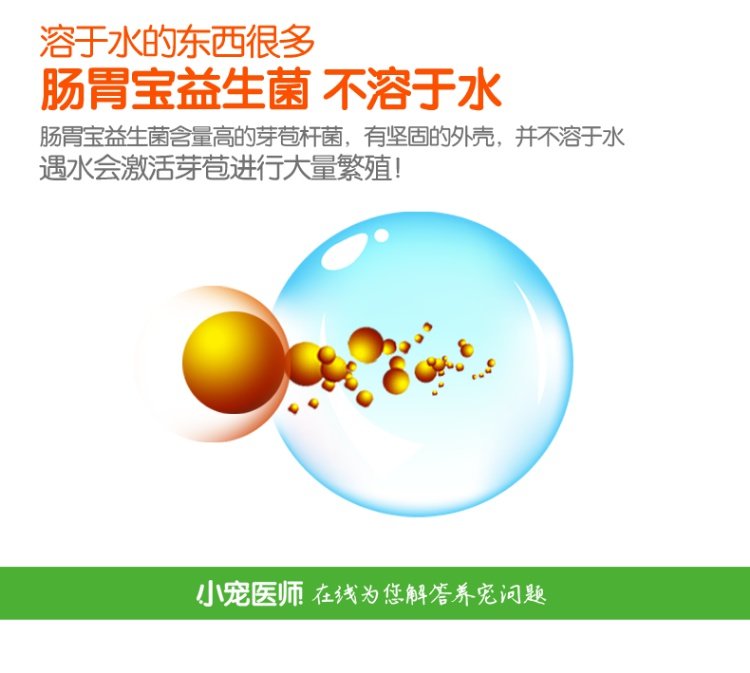 Thú cưng nhỏ tiêu hóa kho báu thú cưng men vi sinh Teddy chó tiêu chảy điều hòa tiêu hóa sản phẩm sức khỏe chó tiêu hóa sữa cho chó mẹ