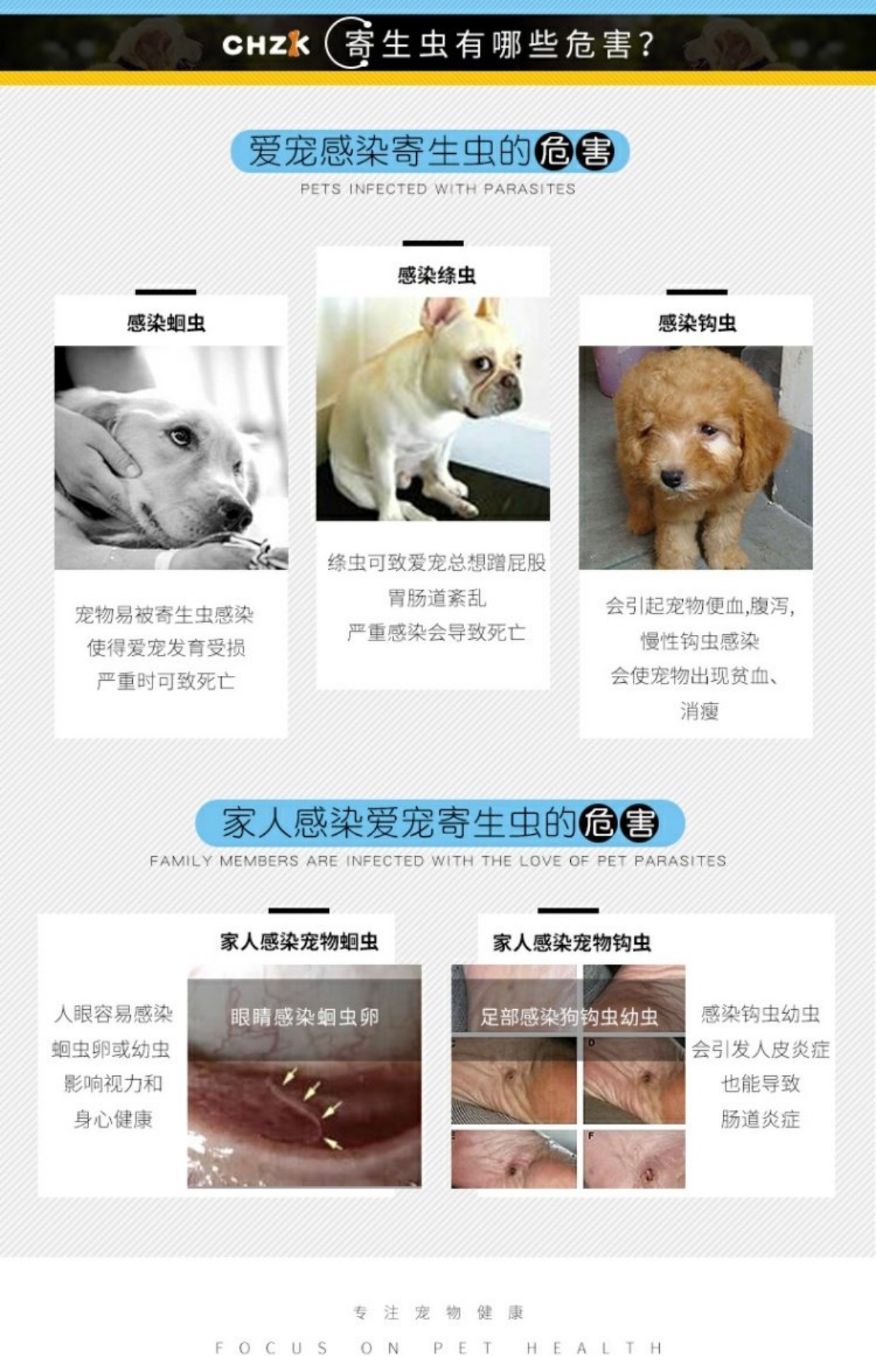Mới yêu thích Kang dog tẩy giun thú cưng cơ thể côn trùng côn trùng Teddy Golden Retriever lớn chó mèo côn trùng - Cat / Dog Medical Supplies xi lanh thú y
