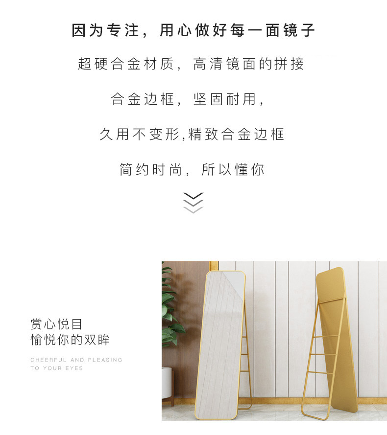 北欧铁艺穿衣镜 图2